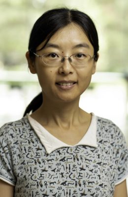 Photo of Xiao Fan Photo of Xiao Fan