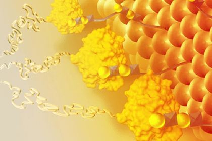 Graphical representation of enzyme therapy
