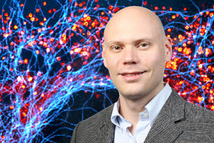 Ed Phelps, Ph.D., BME