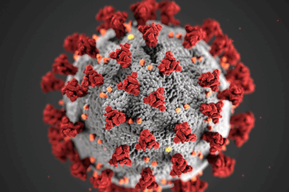 Magnified view of the novel coronavirus