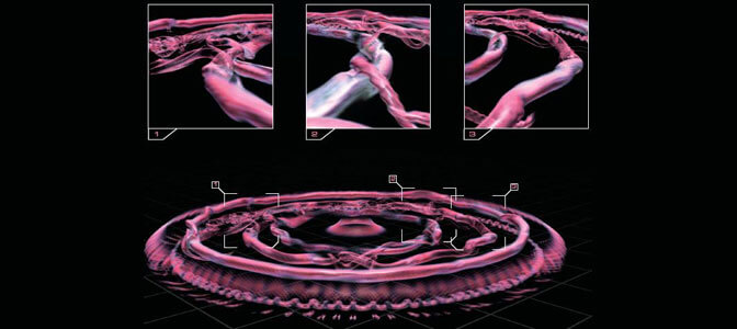 Volumetric visualizations of vortex structures identified with the lci criterion in a cylindrical gravity current. (Cantero, Balachandar, Garcia & Brock, Journal of Geophysical Research, Vol 113, C08018, 2008).