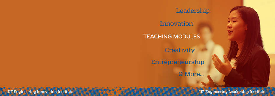 Teaching Modules offered by EII and ELI Institutes