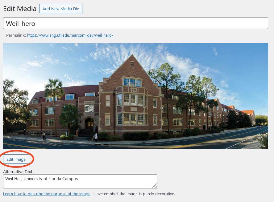 Screenshot of media library image with "Edit image" button highlighted