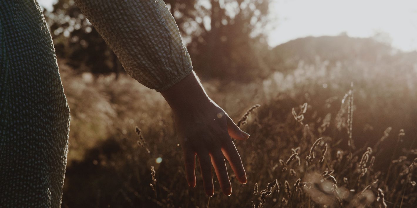 A person's hand touches grass in a sunlit field