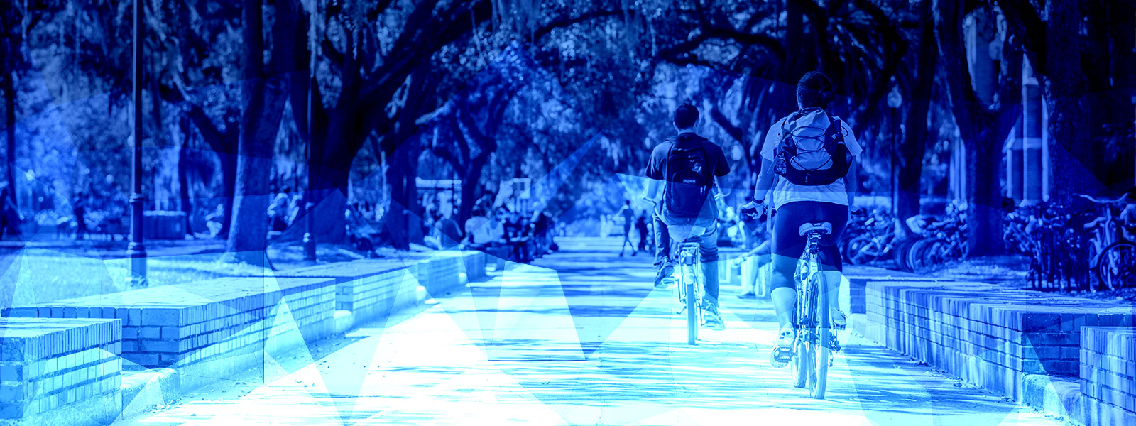 students biking down walkway