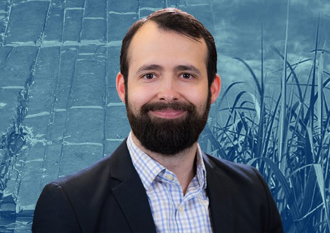 David Hibbitts, Ph.D.