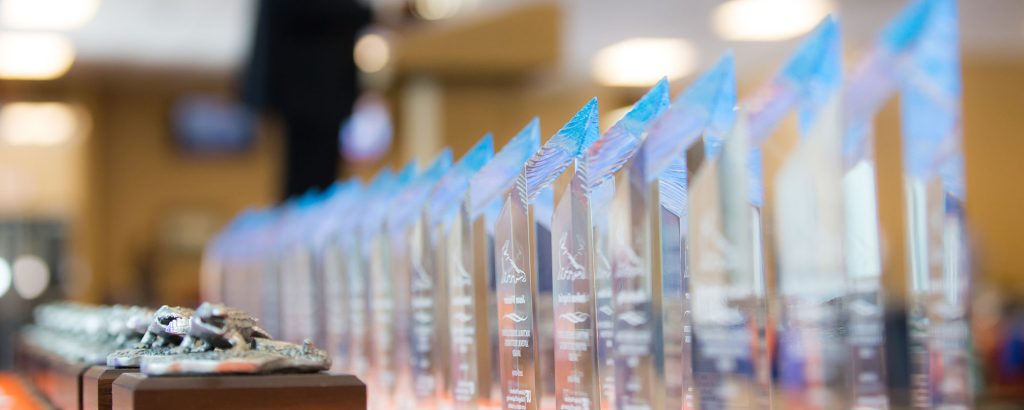 Photo of HWCOE college awards at last year's awards ceremony.