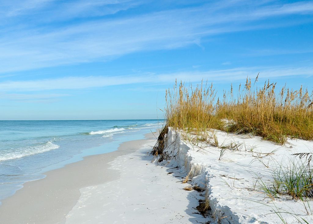 Florida's coastline