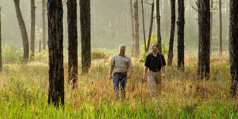 Two men walk through a pine forest in Florida