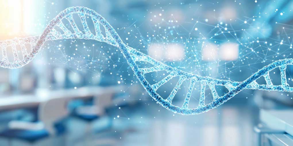 A rendering of a DNA molecule