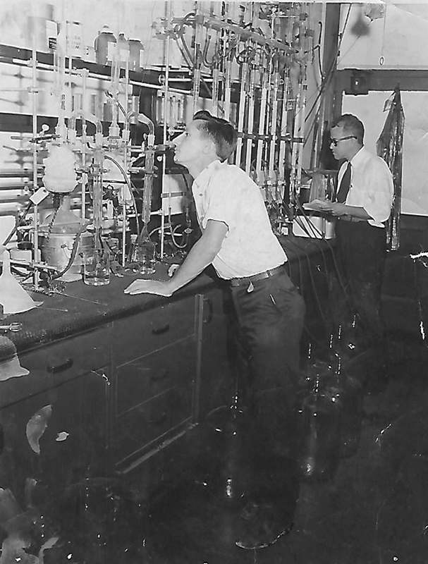 Sagid Salah in chemistry lab at UF