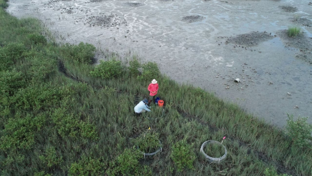 Researchers work on the Florida coastline.