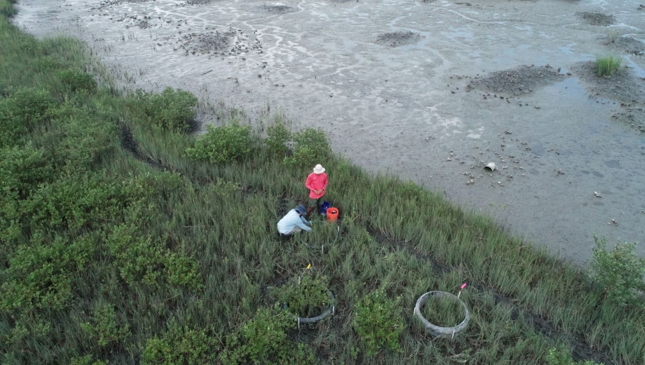 Researchers work on the Florida coastline.