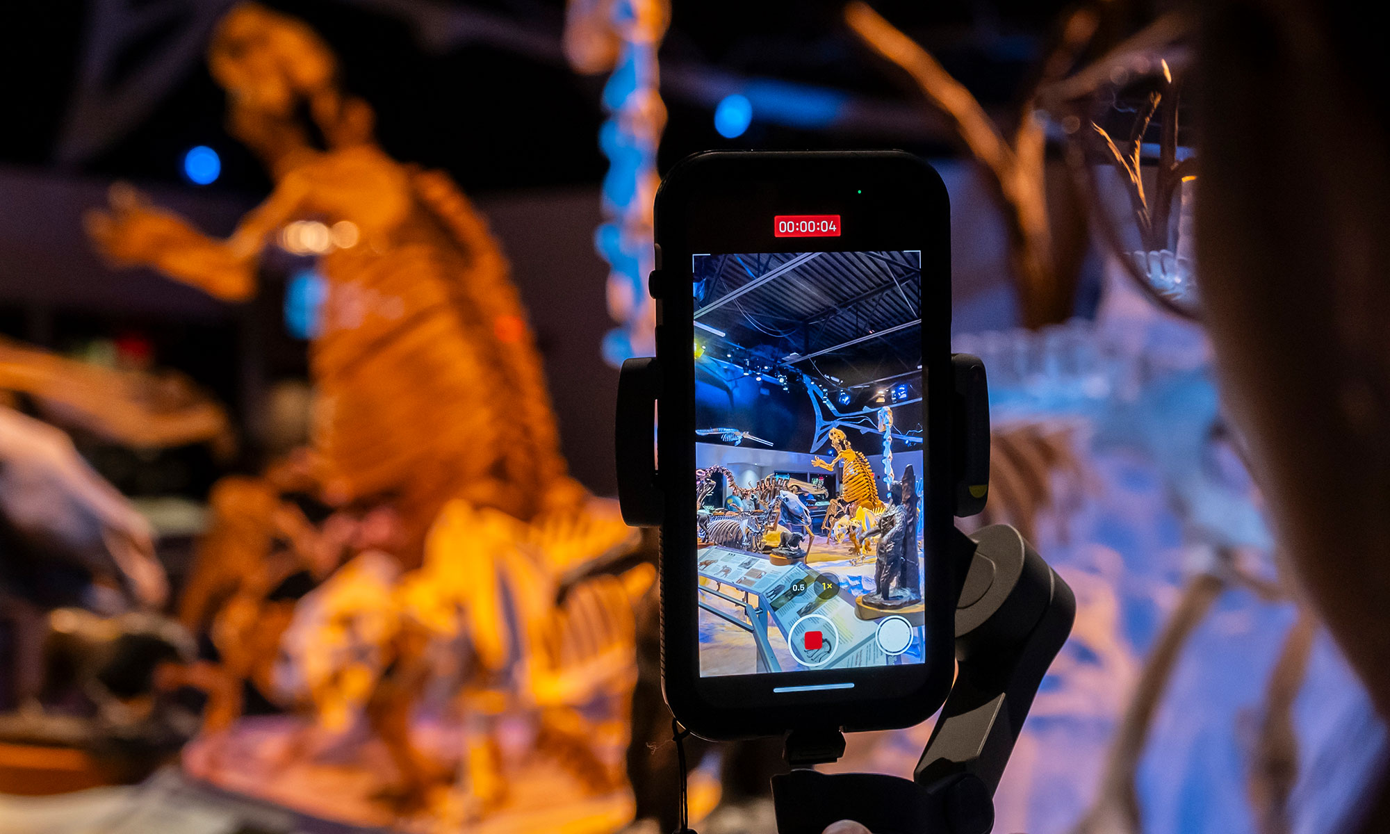 A collaboration between UF's Thompson Earth Systems Institute (TESI), College of Education, Herbert Wertheim College of Engineering, and Calvert Marine Museum in Maryland aims to equip Florida middle school teachers and students with the skills to use artificial intelligence (AI) to identify fossilized shark teeth. 