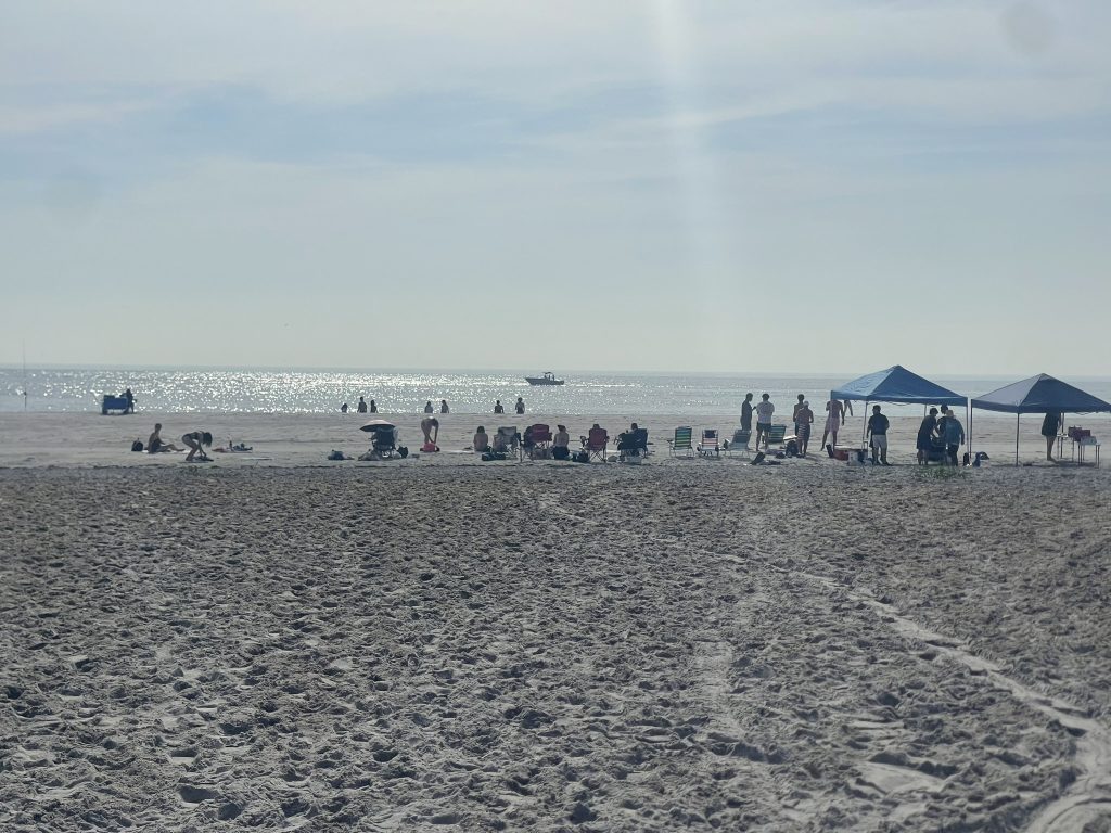 A far away shot of students and staff on the beach. 