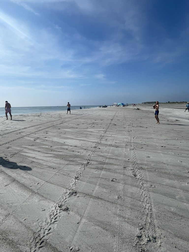 A student preparing to throw a football. 