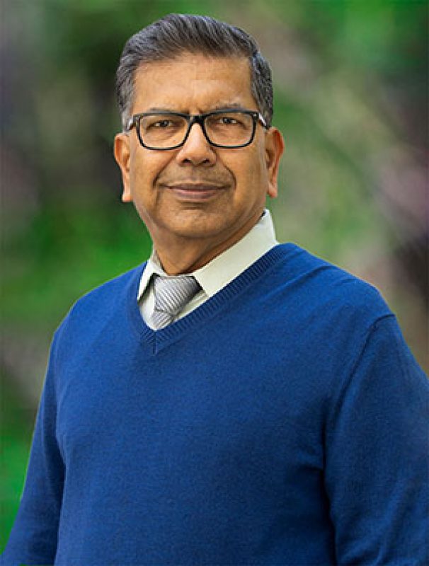 Bhavani V. Sankar AI Experts Herbert Wertheim College of Engineering